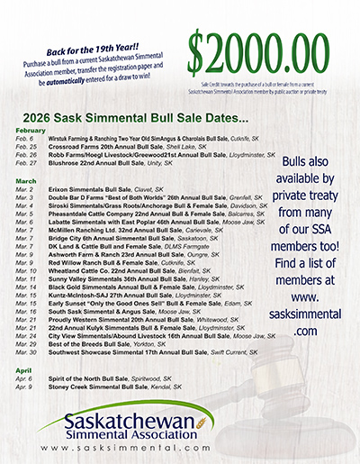 Events & Sales